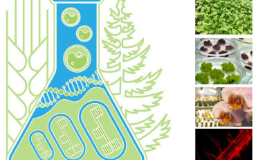 conference Cytobiology and Plant Biotechnology